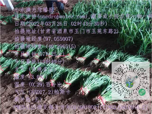 0.mp4