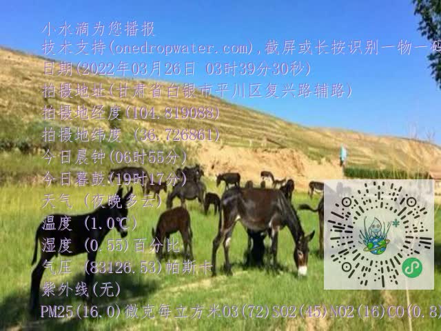 0.mp4