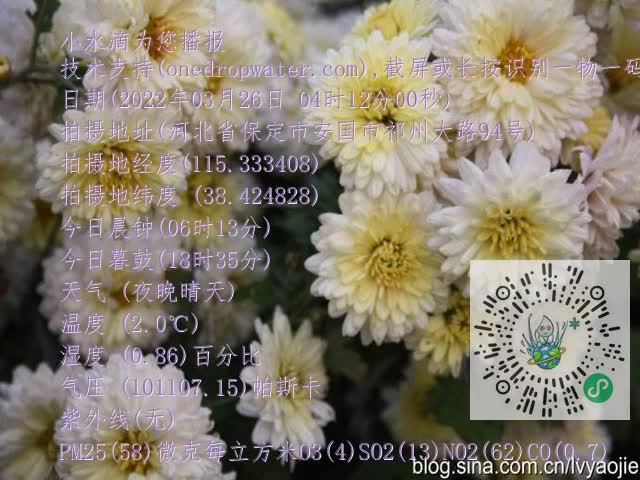 0.mp4