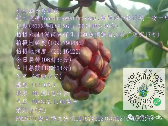 0.mp4