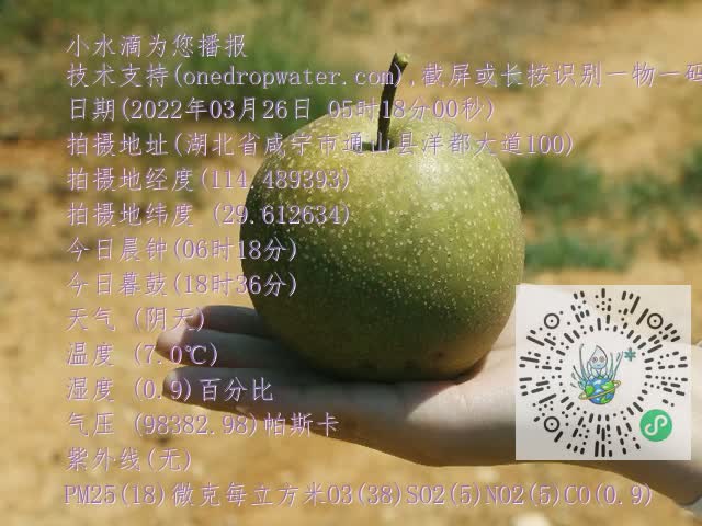 0.mp4