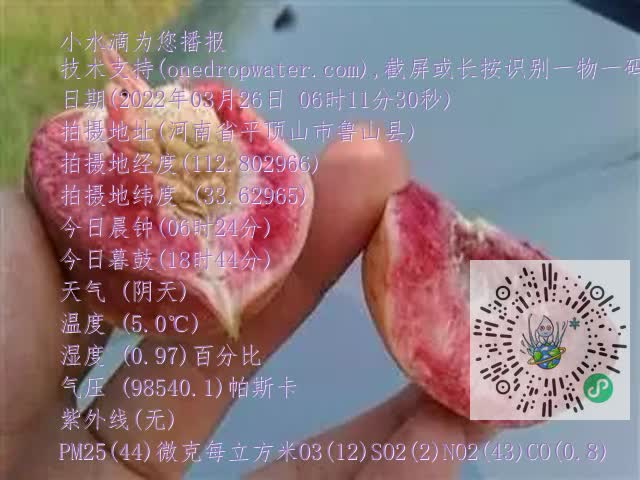 0.mp4