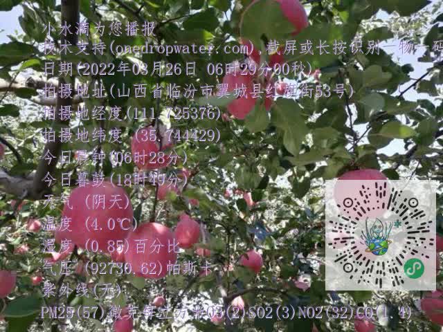 0.mp4