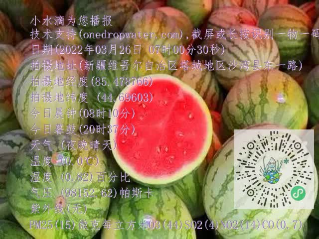 0.mp4