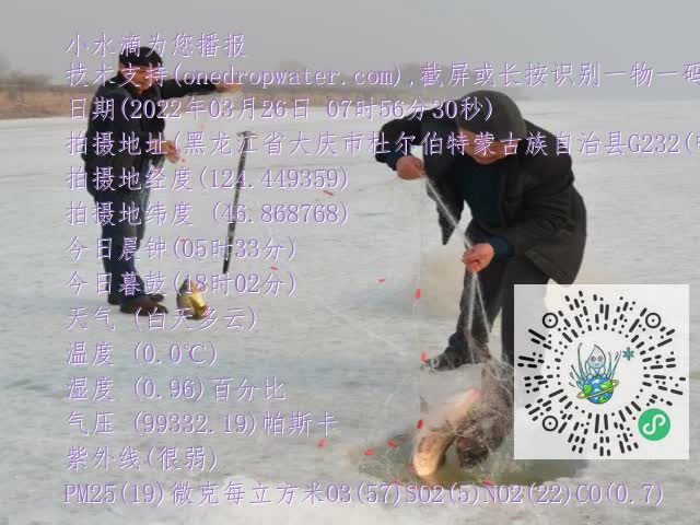 0.mp4