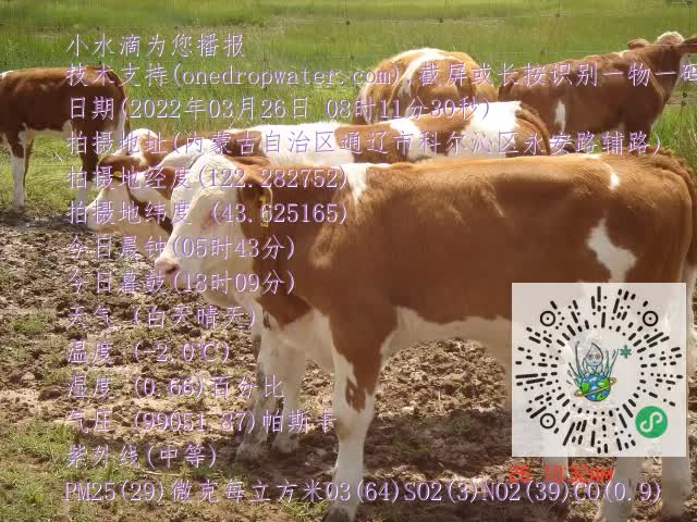 0.mp4