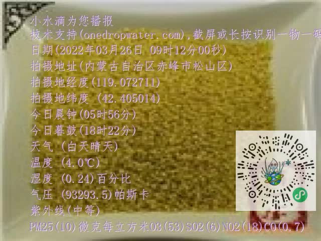 0.mp4