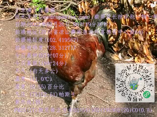 0.mp4