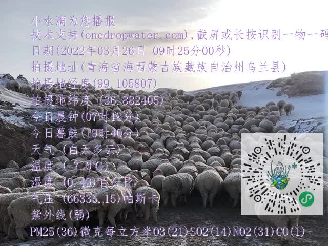 20a37bd5021d21591bac0a734073c578.mp4