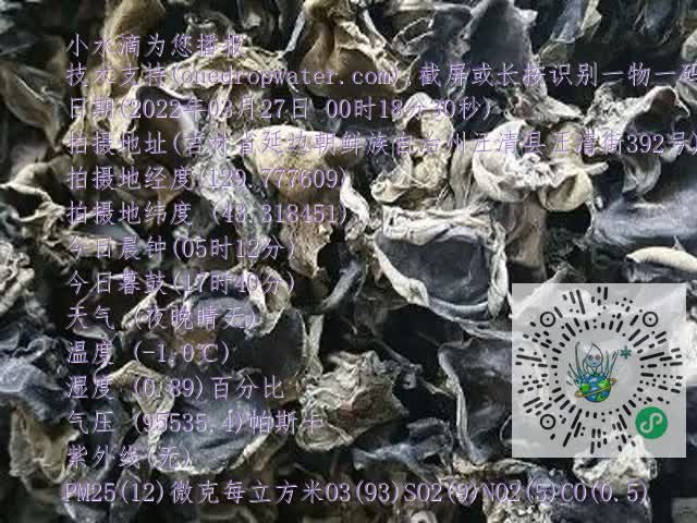 0.mp4
