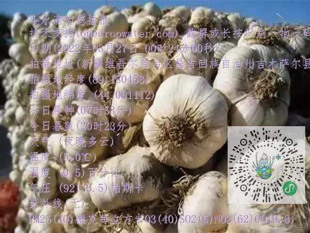 0.mp4