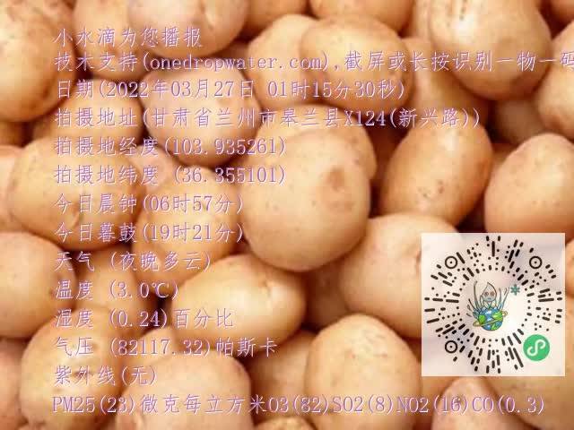 0.mp4