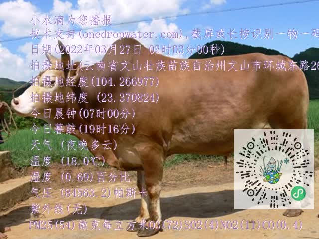 0.mp4