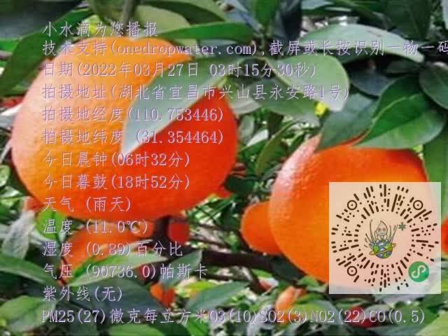 be6d6a0cd548b518276e5b2463864dbc.mp4