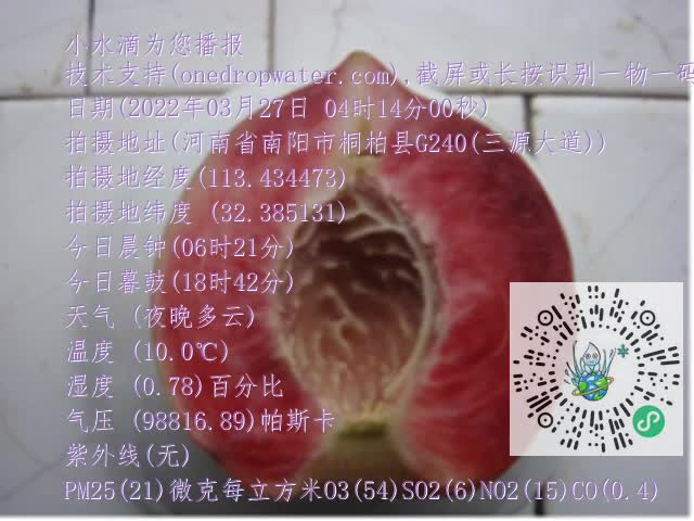 0.mp4