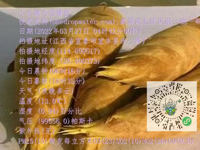 0.mp4