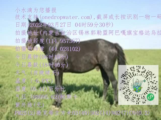 0.mp4