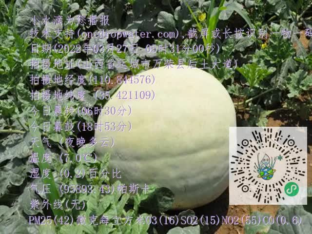 0.mp4