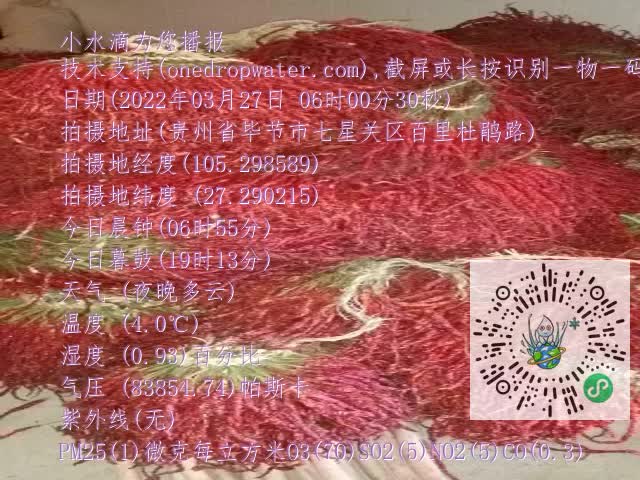0.mp4