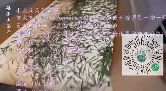 FhLCtimTfa-X0FVO6x5xnm7NZN9Kmp4