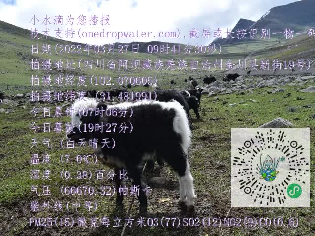 0.mp4