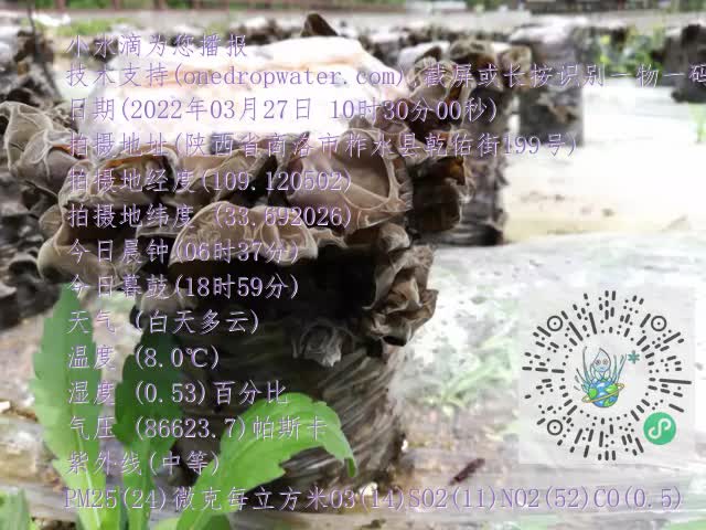 0.mp4
