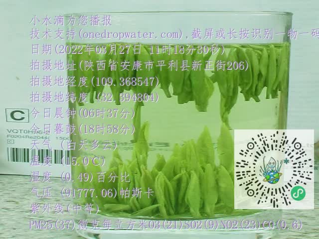 0.mp4