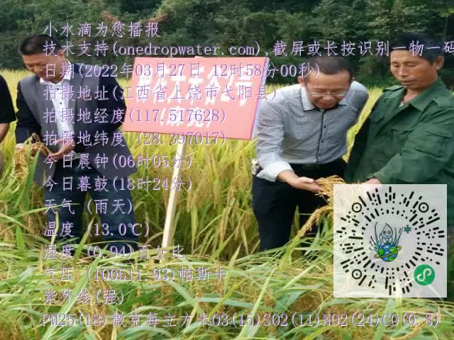 0.mp4