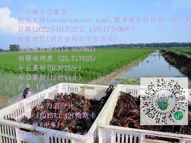 9c8b76a398c17587dc2fc48d5d266ed1.mp4