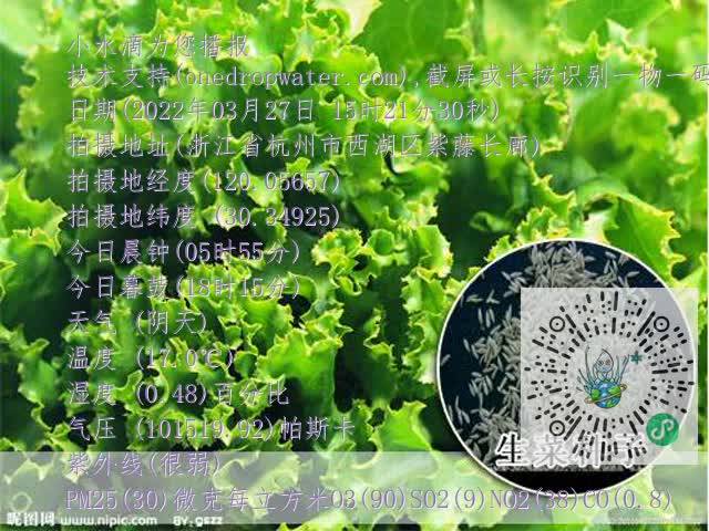 8bf87a48d095cf7944be3ea9e09ea14d.mp4