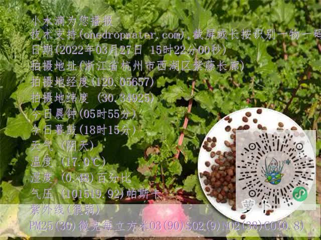 a4b4252d932f7ca1b7a5cee6b1a7bc19.mp4