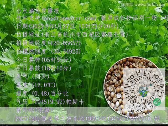 2a985a522c75a847263c26cdf1b8246d.mp4