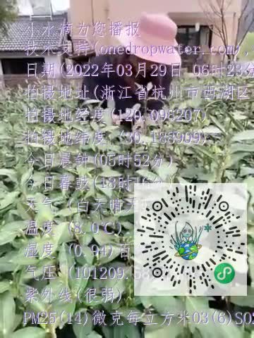 FjfZgy8FexZOPS5A9Gt4MN0JNUbTmp4