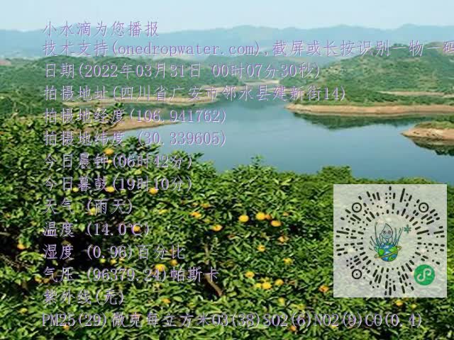 710dd9a2bbdcc7f599e8cf216ccee0a4.mp4