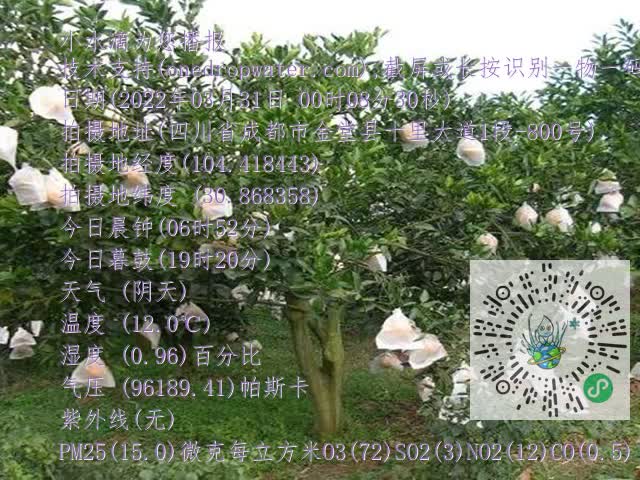 cbf8153904b560875ce45f0c0f7c89b0.mp4