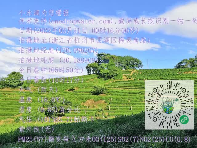 06dfd053069faa6ef01edd59c56ec281.mp4