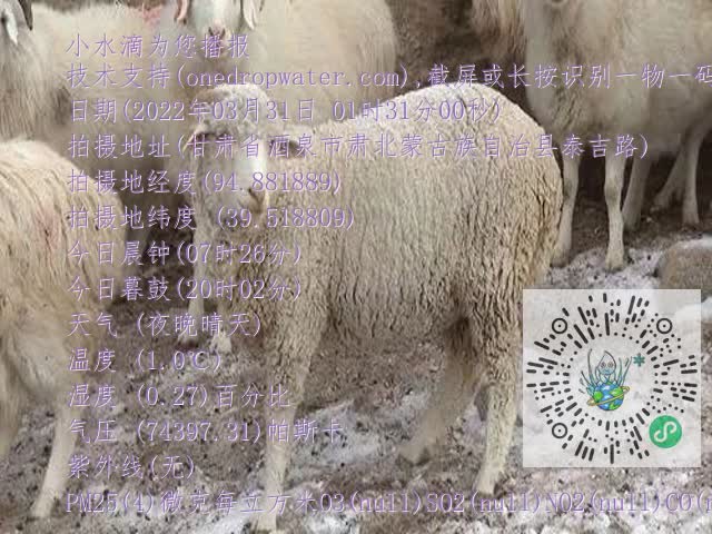 0.mp4