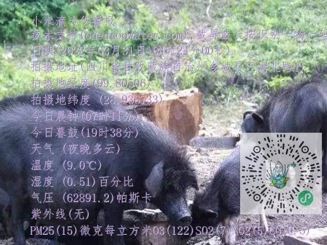 0.mp4