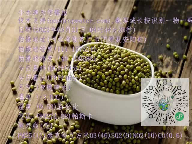 0.mp4