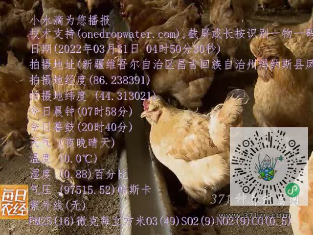 0.mp4