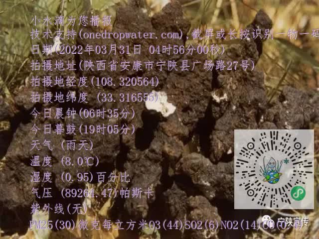 0.mp4
