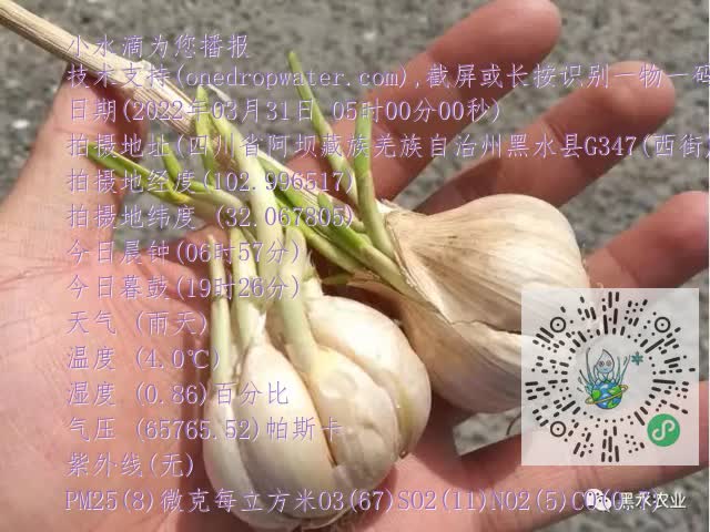 0.mp4