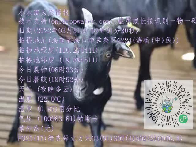 0.mp4