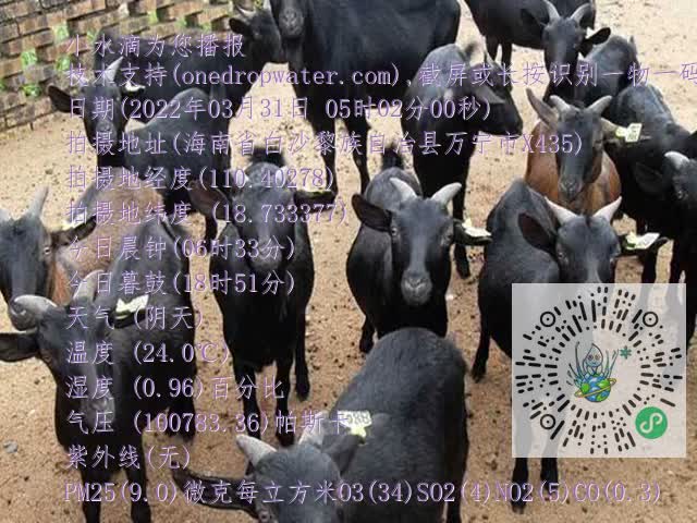 0df6b02a845ca5a6ab241ea637f45922.mp4