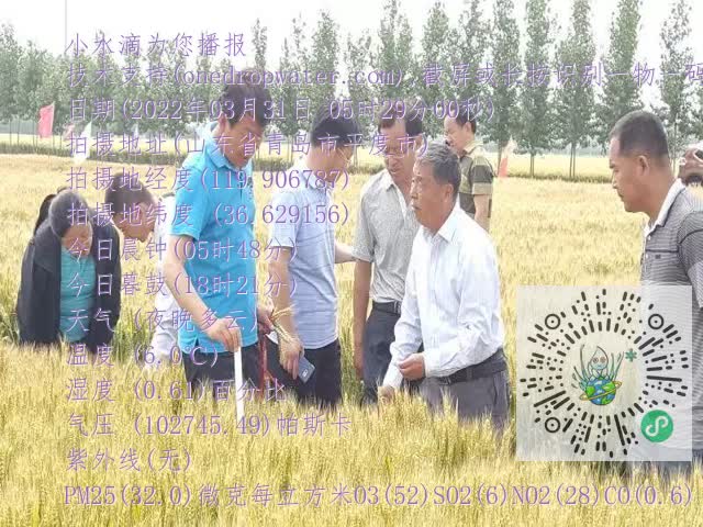 0.mp4