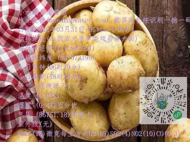 0.mp4