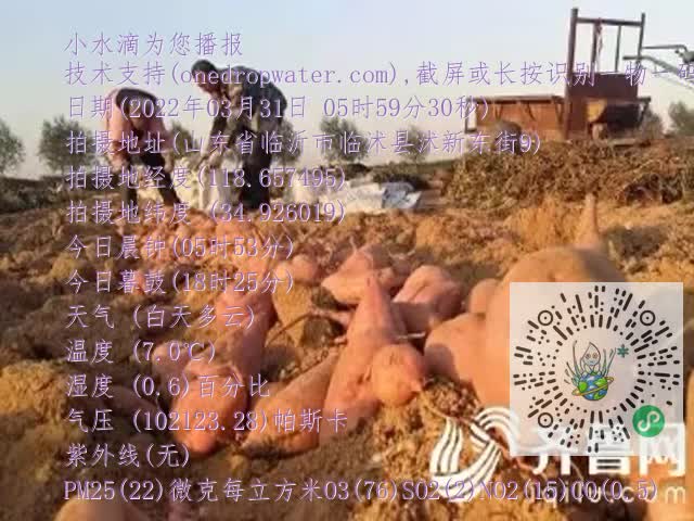 0.mp4