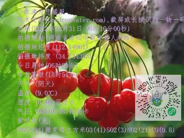 0.mp4