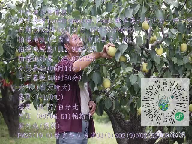0.mp4