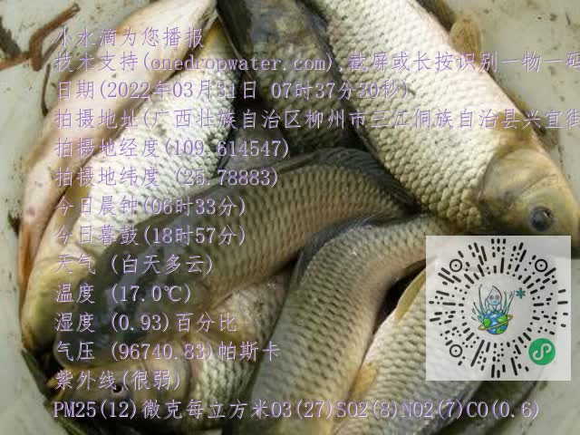 0.mp4